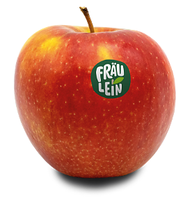 Fräulein Apfel
